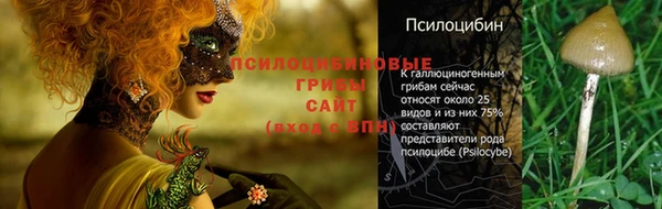 марки lsd Алзамай