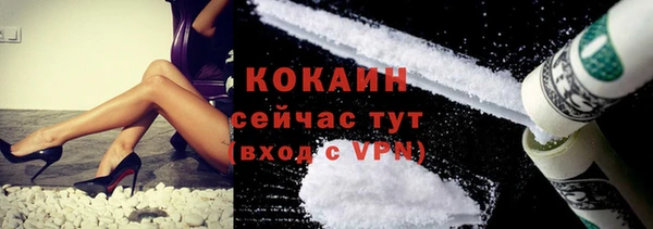 кокс Алексин
